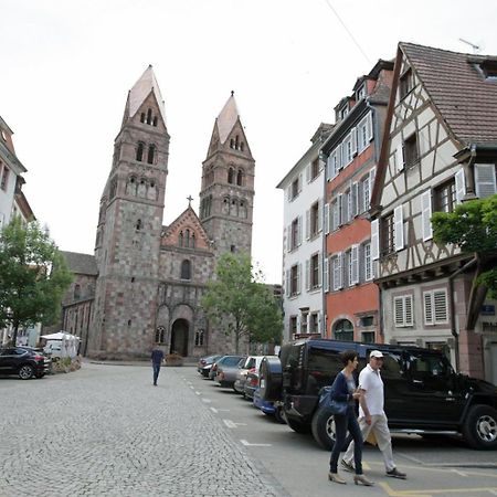 Gite Les Tourterelles Selestat - 30Min Europapark Exteriör bild